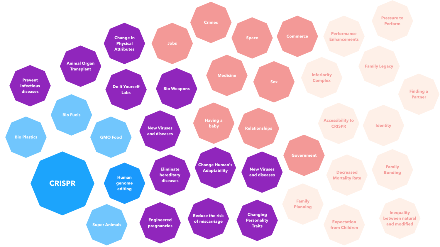 Impact map showing the things potentially affected by CRISPR